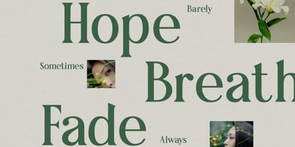 Averique Font Poster 3