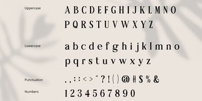 Averique Font Poster 2