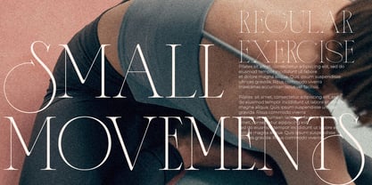 Asentro Font Poster 13