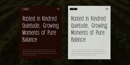 TRT Bird Of Feather Font Poster 14