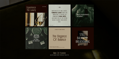 TRT Bird Of Feather Font Poster 10