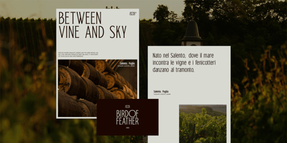 TRT Bird Of Feather Font Poster 9