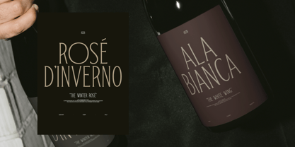 TRT Bird Of Feather Font Poster 6