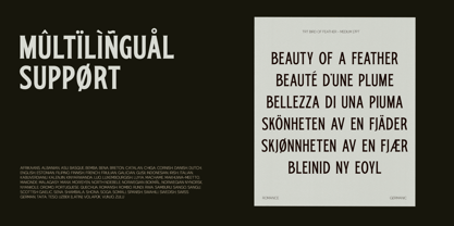 TRT Bird Of Feather Font Poster 15