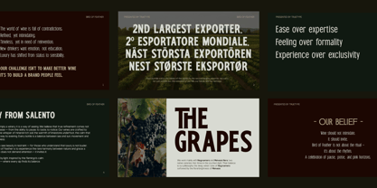 TRT Bird Of Feather Font Poster 11