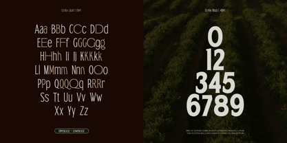 TRT Bird Of Feather Font Poster 2