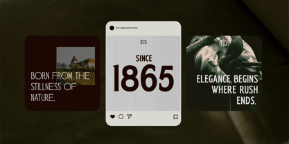 TRT Bird Of Feather Font Poster 13