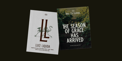 TRT Bird Of Feather Font Poster 12