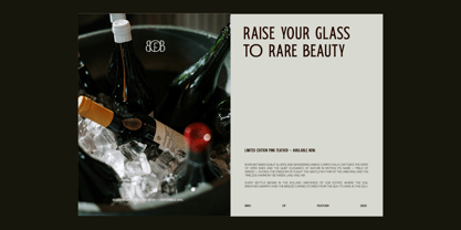 TRT Bird Of Feather Font Poster 7