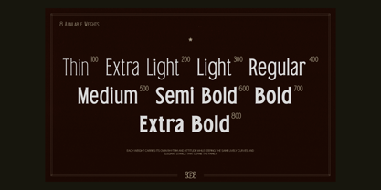 TRT Bird Of Feather Font Poster 3