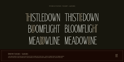 TRT Bird Of Feather Font Poster 4