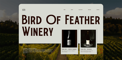 TRT Bird Of Feather Font Poster 8