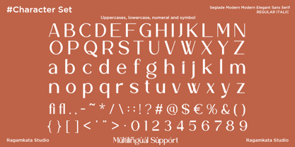 Seglade Font Poster 10