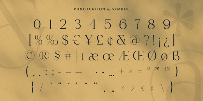Siren Font Poster 11