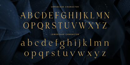 Siren Font Poster 8