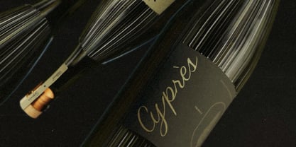 Carmeline Font Poster 8