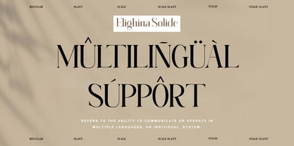 Elighina Solide Font Poster 3