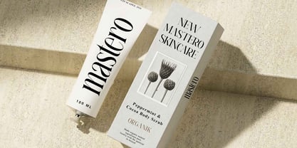 Elighina Solide Font Poster 4