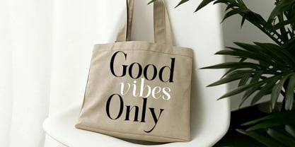 Elighina Solide Font Poster 10