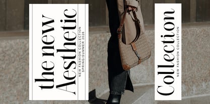 Elighina Solide Font Poster 11