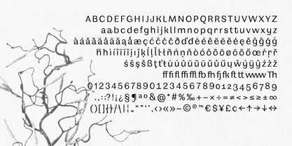 BT Giusto Font Poster 3