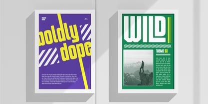 Lova Bold Font Poster 6