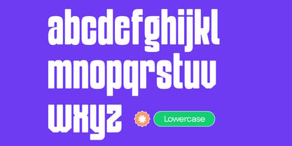 Lova Bold Font Poster 8