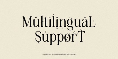 Gold Bachelor Font Poster 10