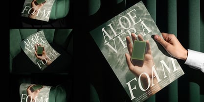 The Foriene Serif Font Poster 10