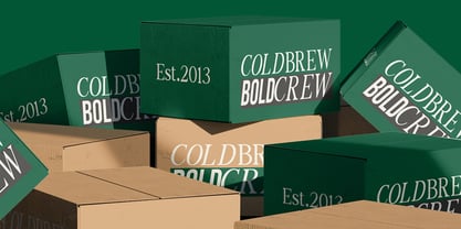 The Foriene Serif Font Poster 6