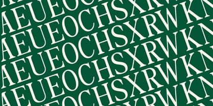 The Foriene Serif Font Poster 4