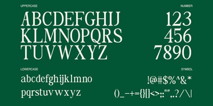 The Foriene Serif Font Poster 2