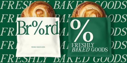 The Foriene Serif Font Poster 12