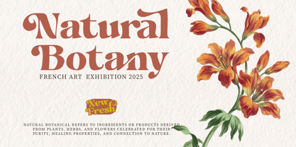 Hukela Display Font Poster 11