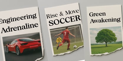 Royal Ericson Font Poster 7