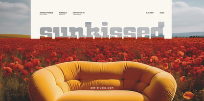 Witness Font Poster 5