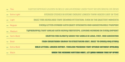 Witness Font Poster 6