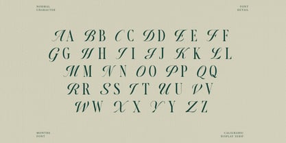Monthe Font Poster 2