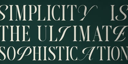 Monthe Font Poster 11