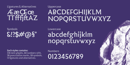 Bradleigh Font Poster 2