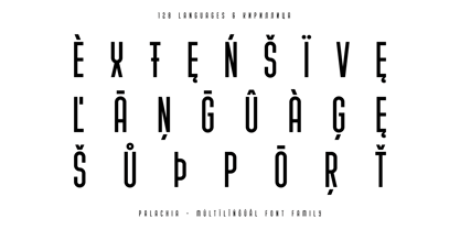 Palachia Font Poster 7