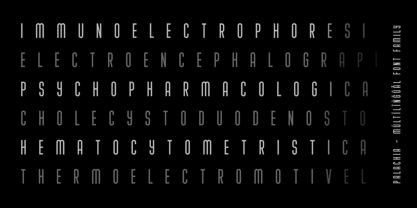 Palachia Font Poster 11