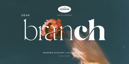 SNS Dear Branch Font Poster 1