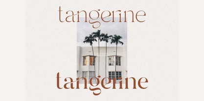 SNS Dear Branch Font Poster 8