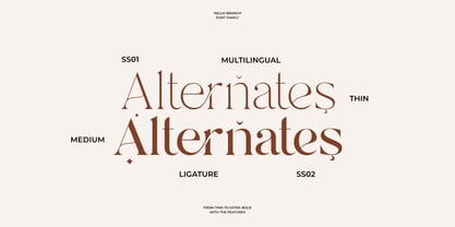 SNS Dear Branch Font Poster 6