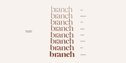 SNS Dear Branch Font Poster 4