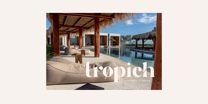 SNS Dear Branch Font Poster 7