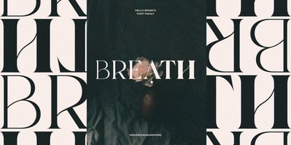 SNS Dear Branch Font Poster 9