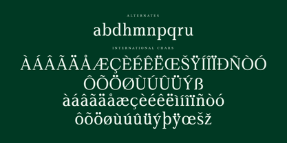 Gardmun Kinsley Font Poster 8