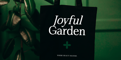 Gardmun Kinsley Font Poster 2